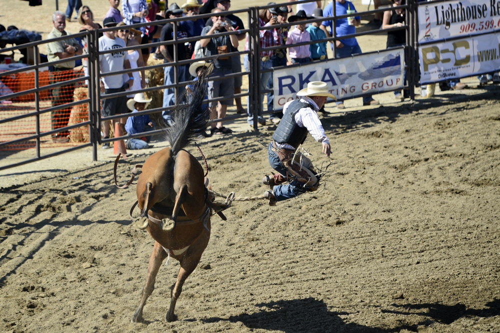 2015 San Dimas Rodeo Photo 7.jpg