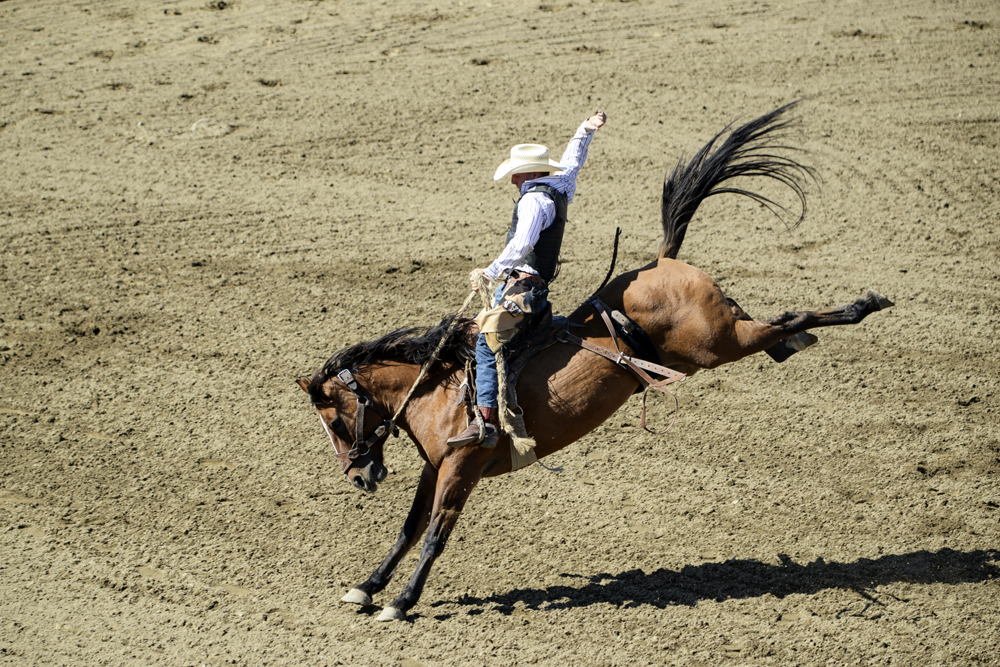 2015 San Dimas Rodeo Photo 9.jpg