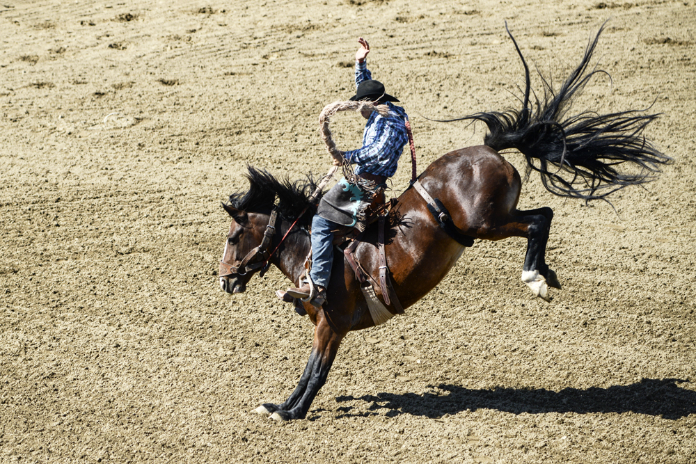 2015 San Dimas Rodeo Photo 10.jpg