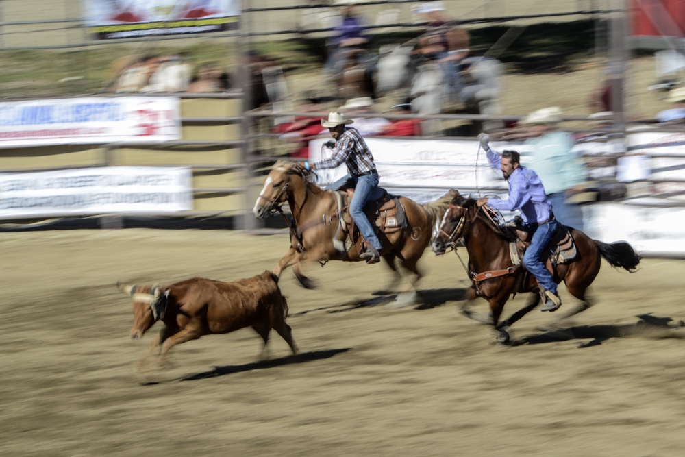 2015 San Dimas Rodeo Photo 13.jpg
