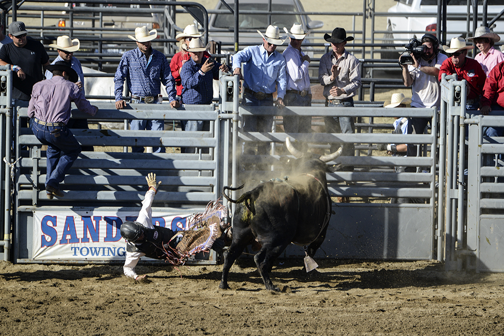 2015 San Dimas Rodeo Photo 16.jpg