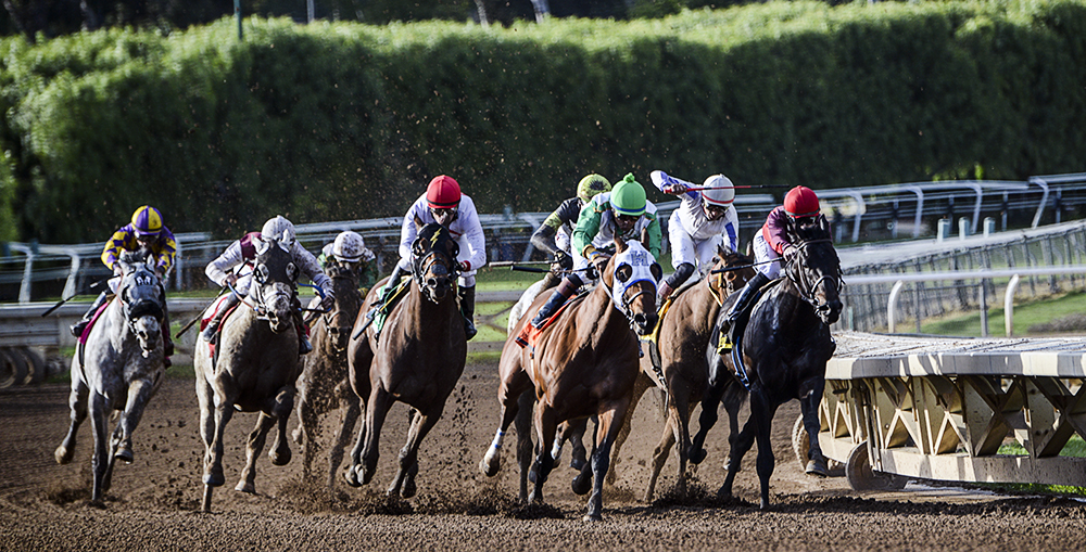 Santa Anita Park 1.jpg