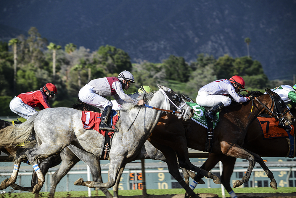 Santa Anita Park 2.jpg