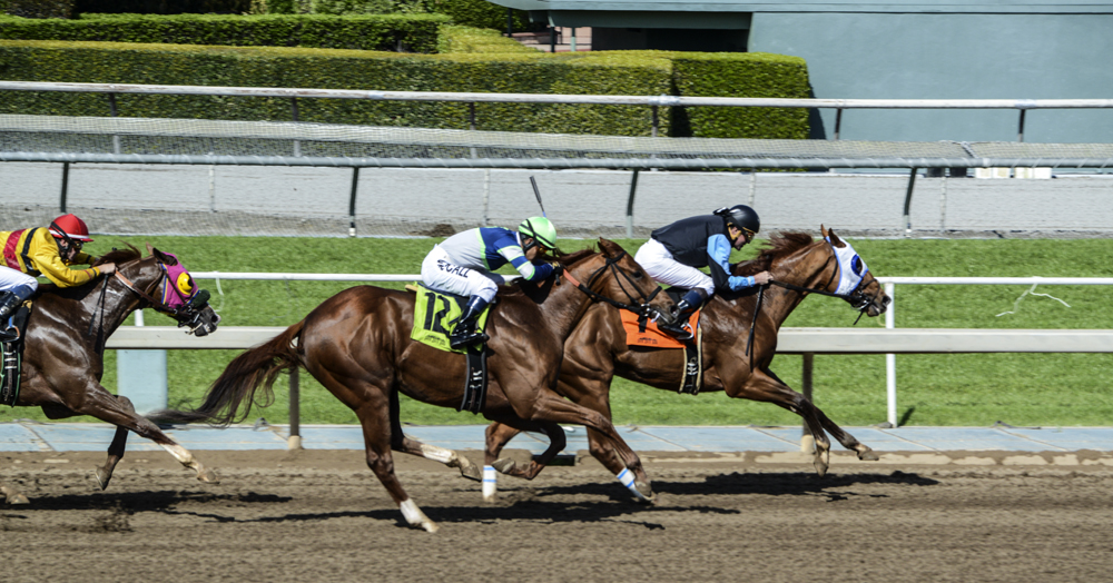 Santa Anita Park 3.jpg