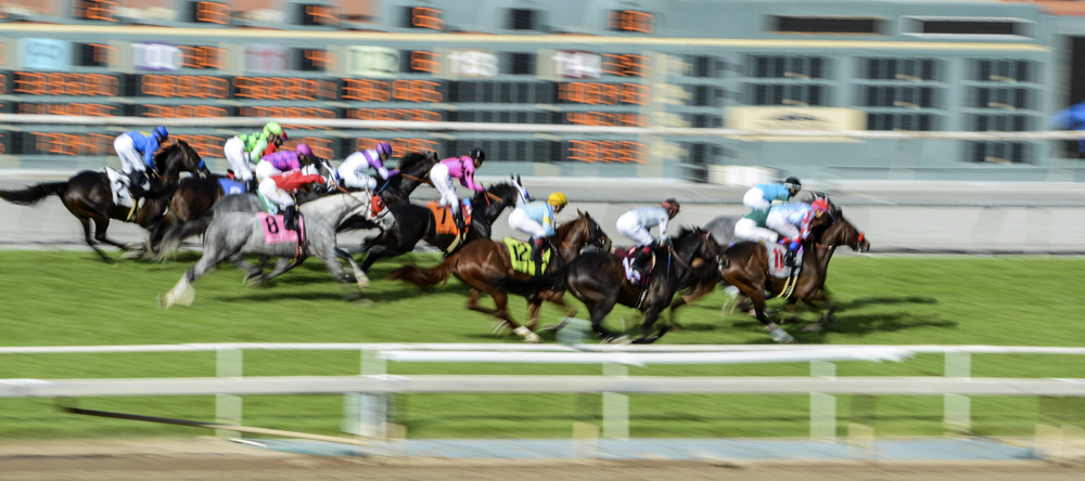 Santa Anita Park 4.jpg