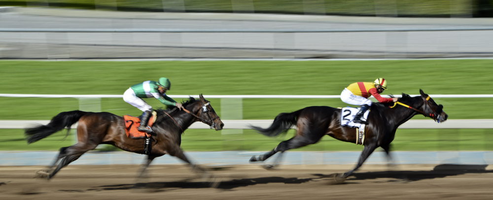 Santa Anita Park 5.jpg