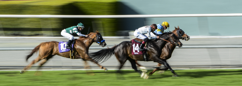 Santa Anita Park 6.jpg