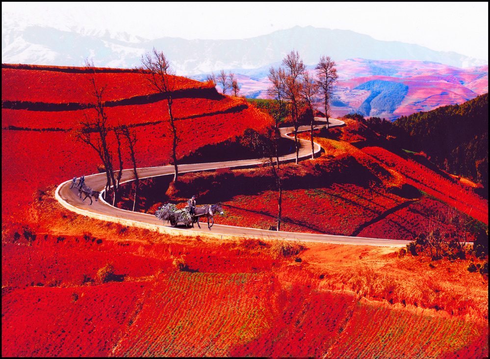 Red #2A  GIA TRUNG Title RED LAND.jpg