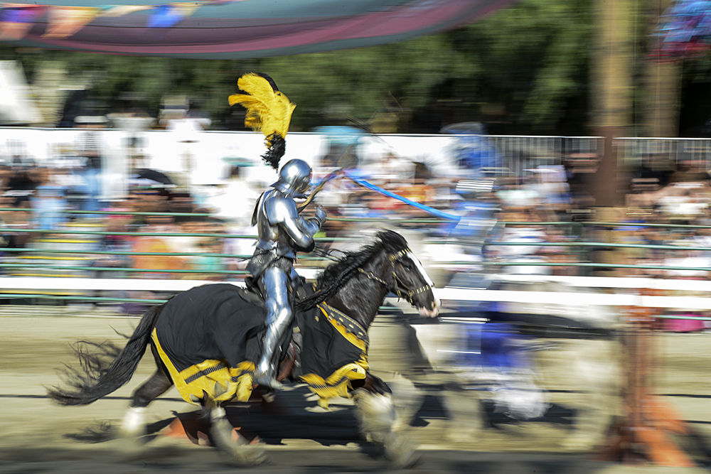 2016 Renaissance Faire Photo 5.jpg