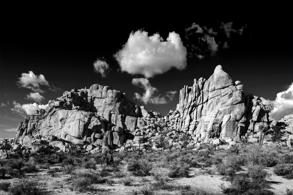 Joshua Tree NP 1.jpg