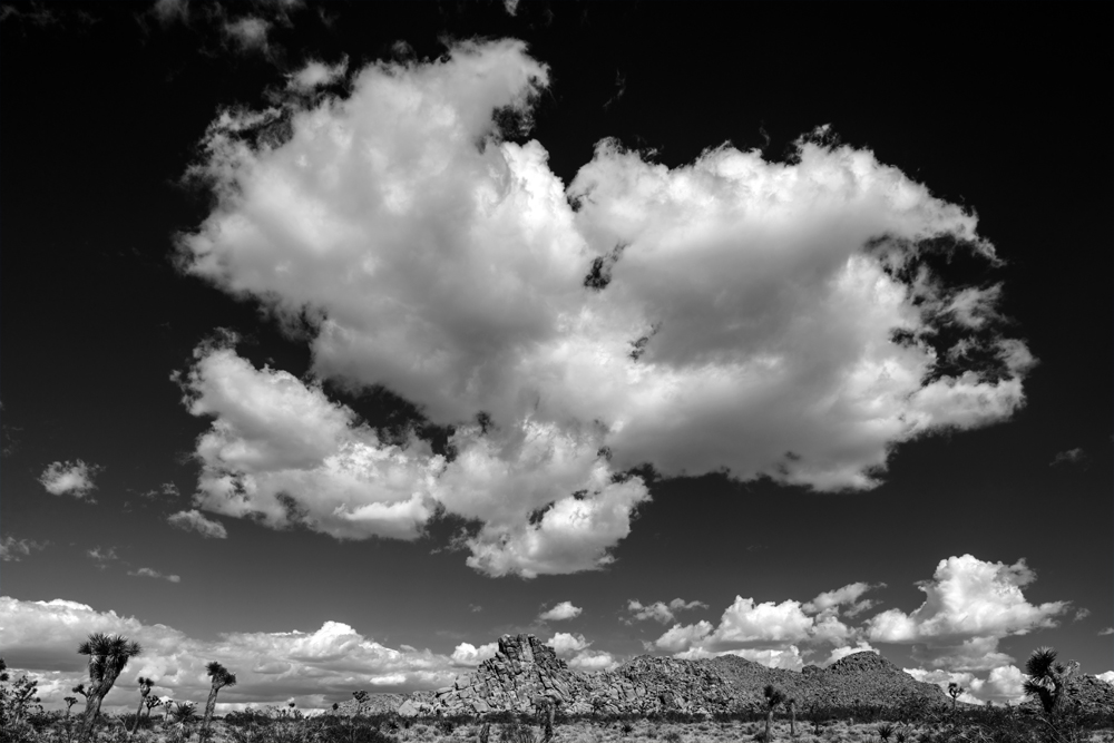 Joshua Tree NP 2.jpg