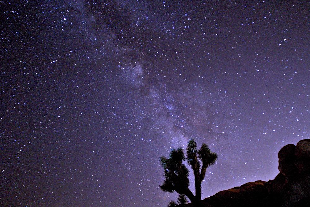 Astrophotography2_090515JoshuaTreeNP_IMG_0459.jpg