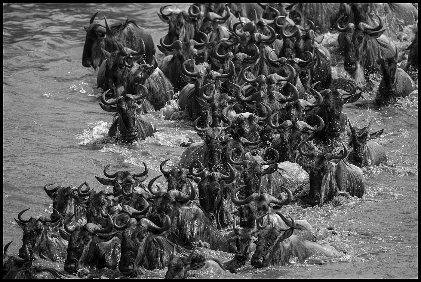 B&W #1 BENCAI GONG Title Dead river.jpg