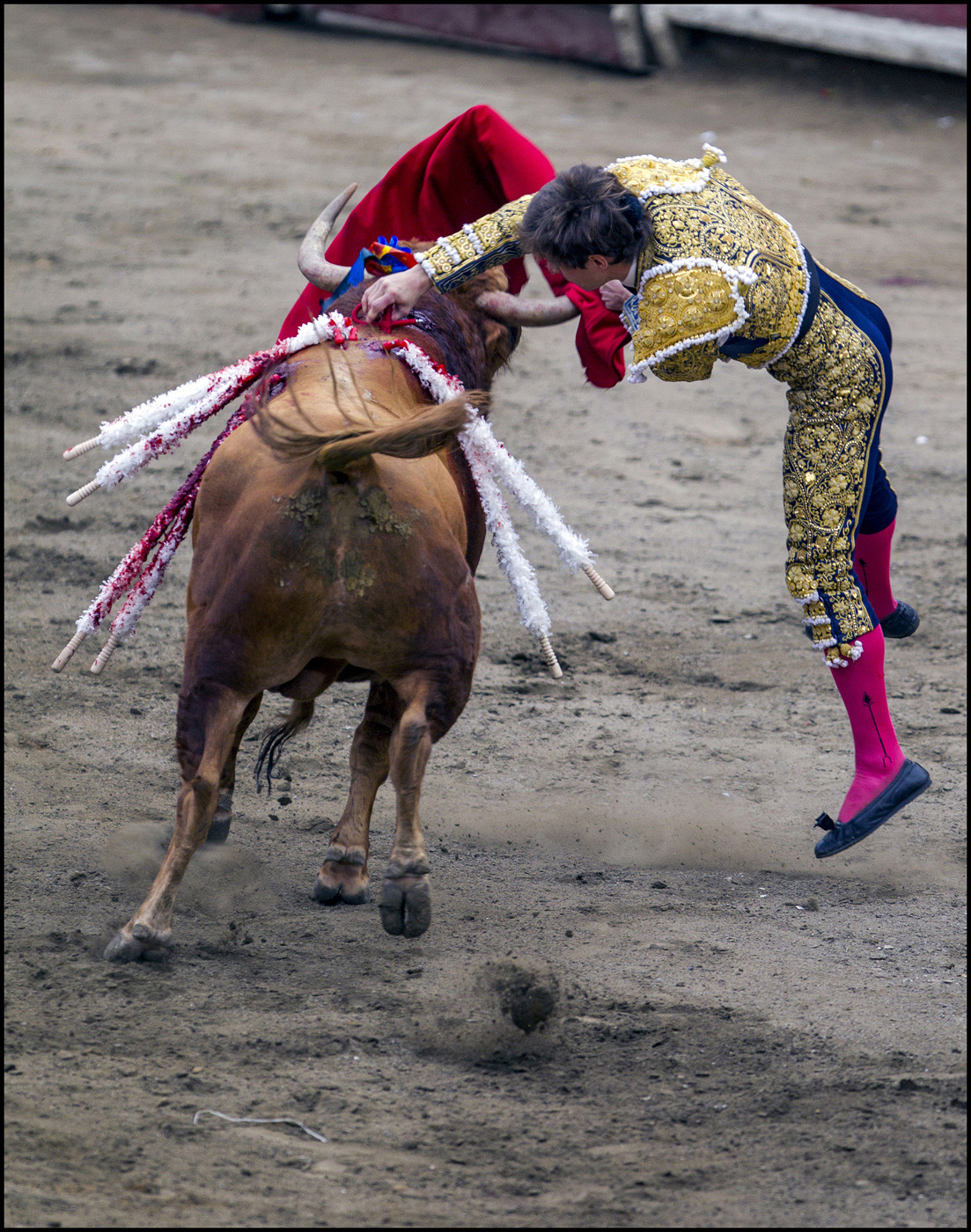 COLOR #3 BENCAI GONG Title BULL FIGHTING.jpg