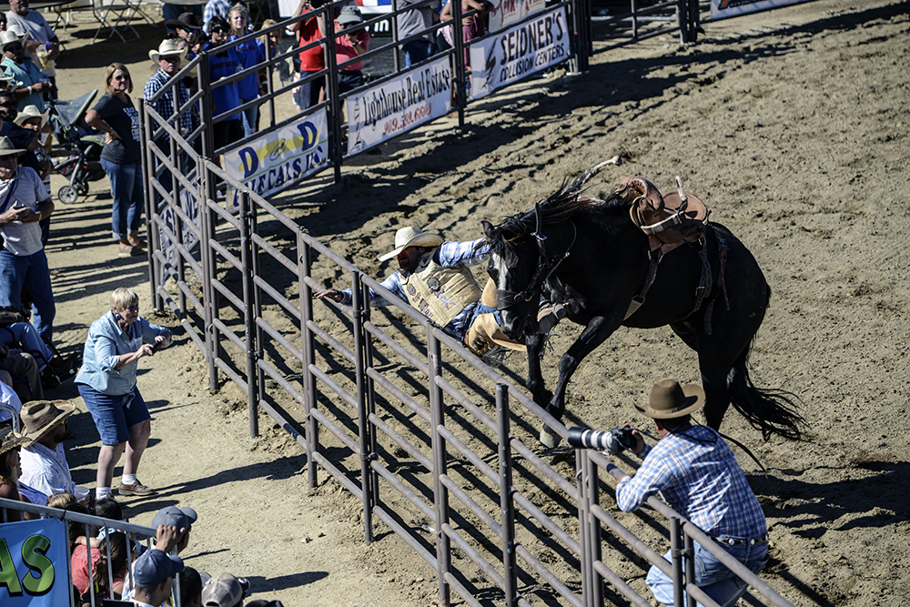 2016 San Dimas Rodeo 3.jpg