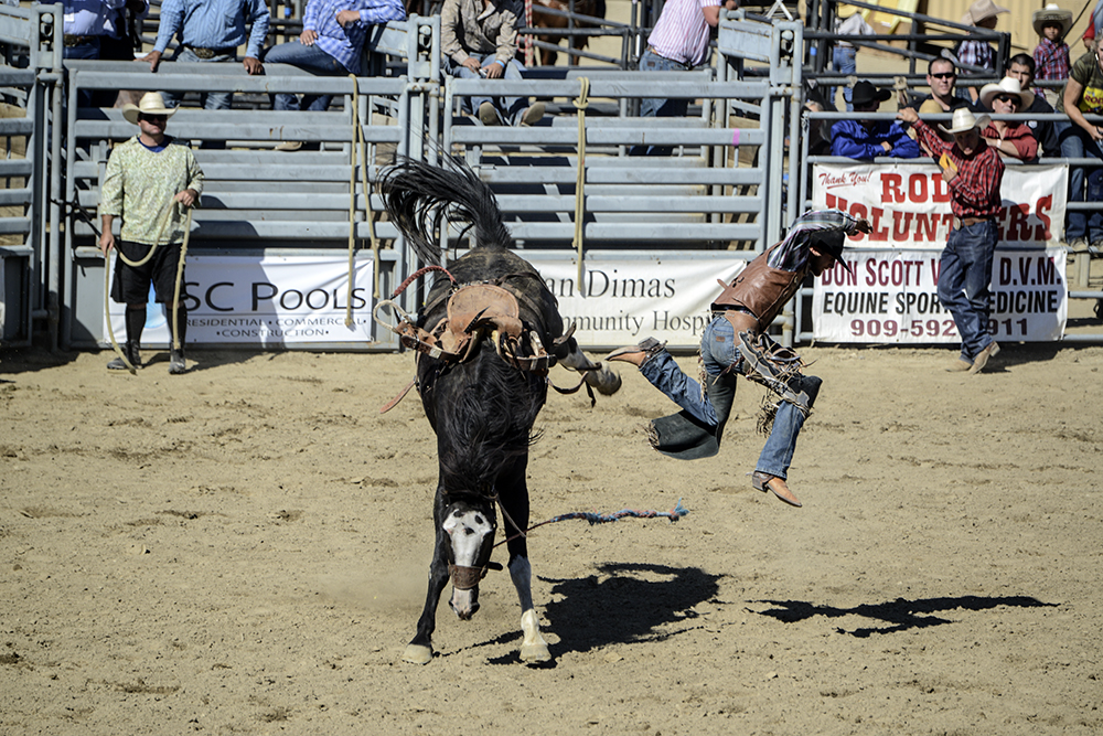 2016 San Dimas Rodeo 4.jpg