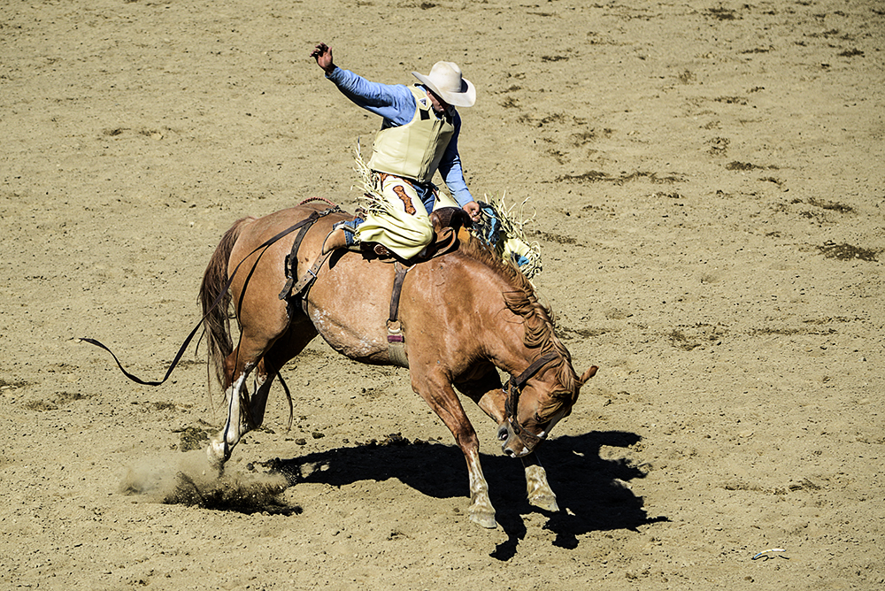2016 San Dimas Rodeo 21.jpg