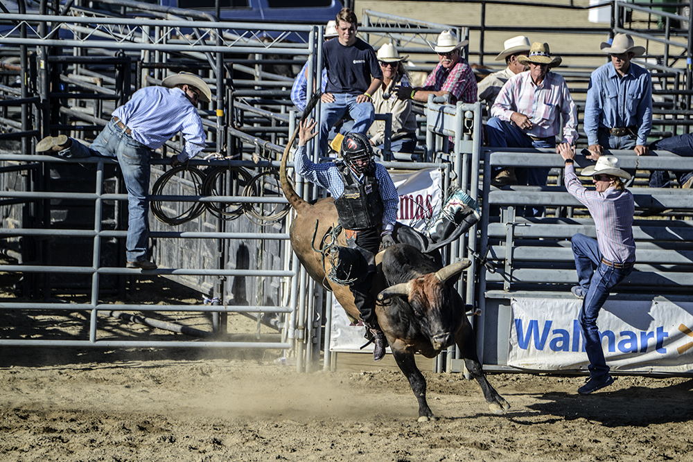 2016 San Dimas Rodeo 23.jpg