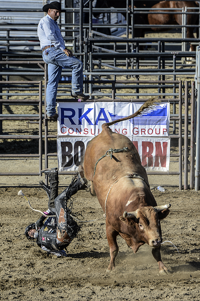 2016 San Dimas Rodeo 24.jpg