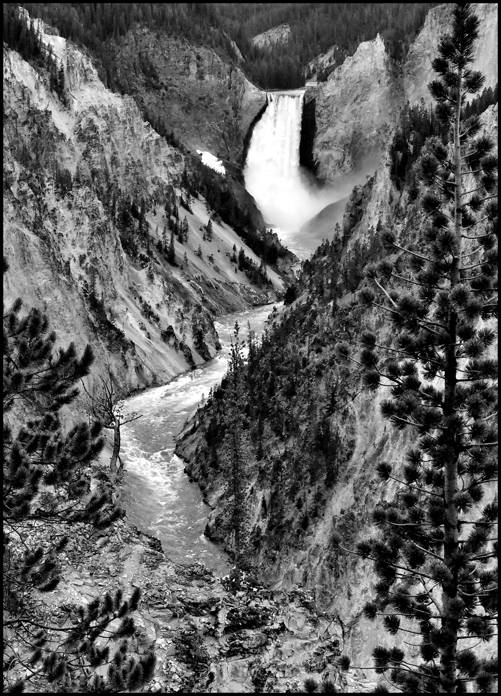 MONO #1 HENRY HUNG, TITLE ( The Yellowstone Fall ).jpg