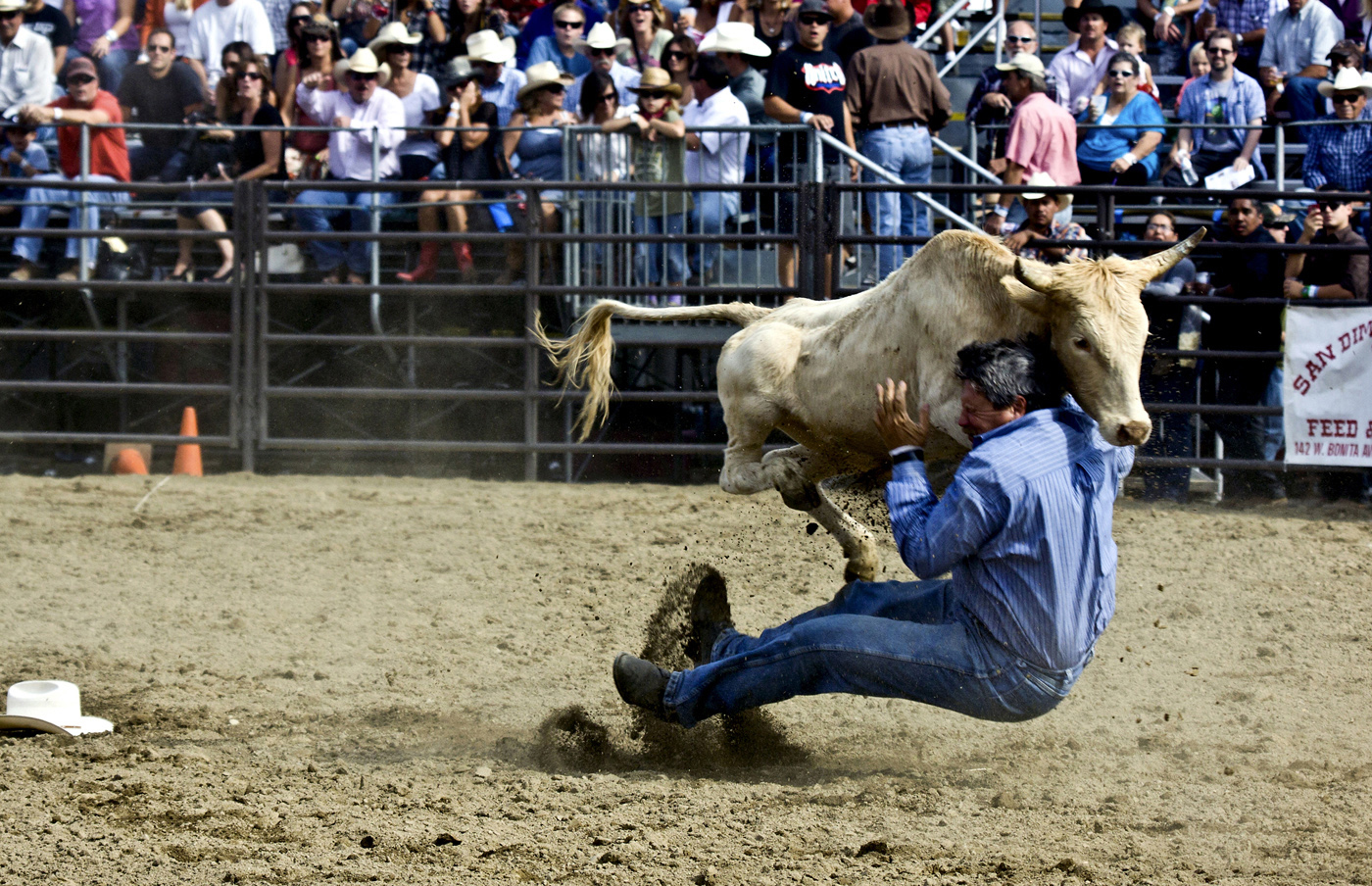 COLOR #4 JAMES MAO, TITLE ( SAN DIMAS RODEO ).jpg