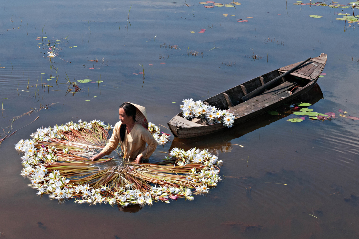 TRAVALl #4 THANH LAM Title Girl Arranging Flowers.jpg