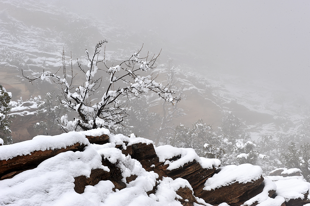 Zion National Park.jpg