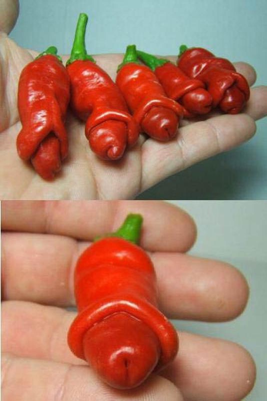 dred pepper.jpg