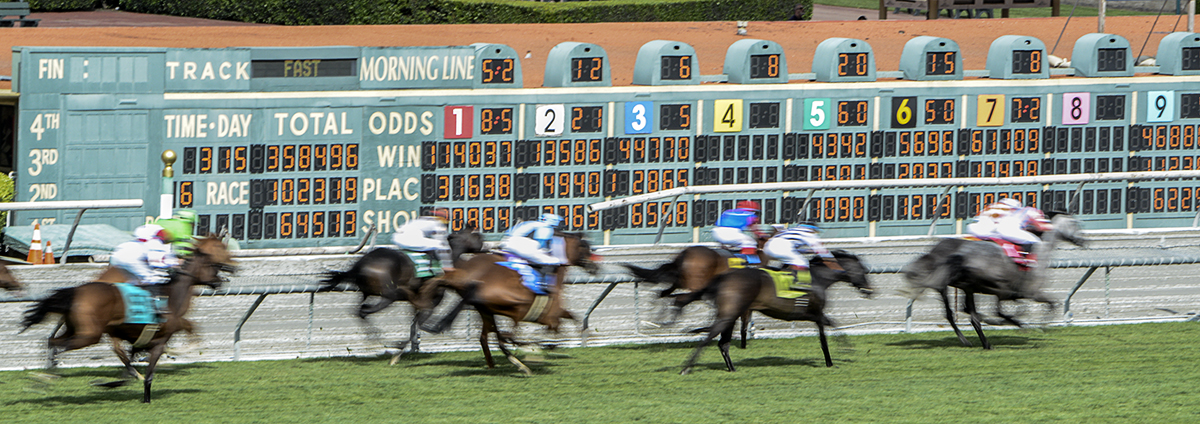 Santa Anita 3-25-17 Photo 1.jpg