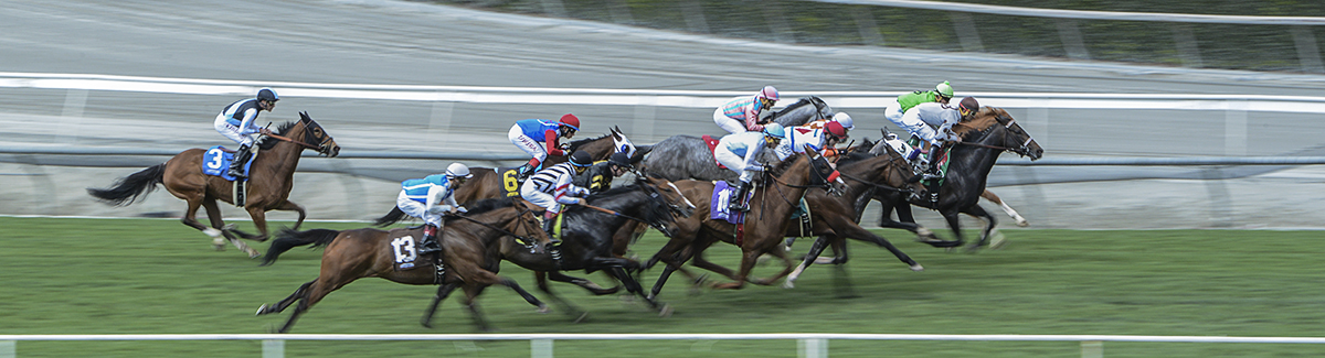 Santa Anita 3-25-17 Photo 2.jpg