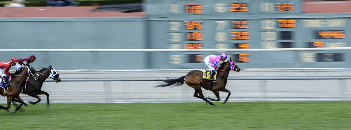 Santa Anita 3-25-17 Photo 3.jpg