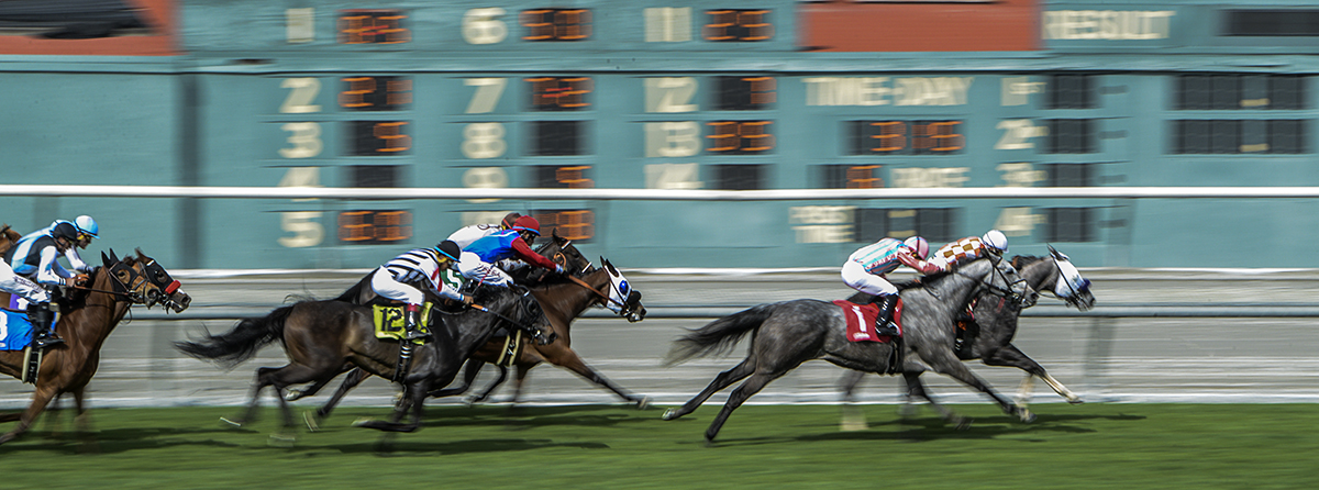 Santa Anita 3-25-17 Photo 4.jpg