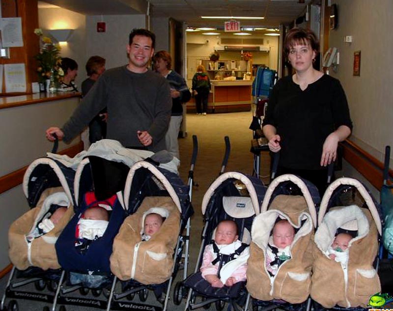 6 babies.jpg