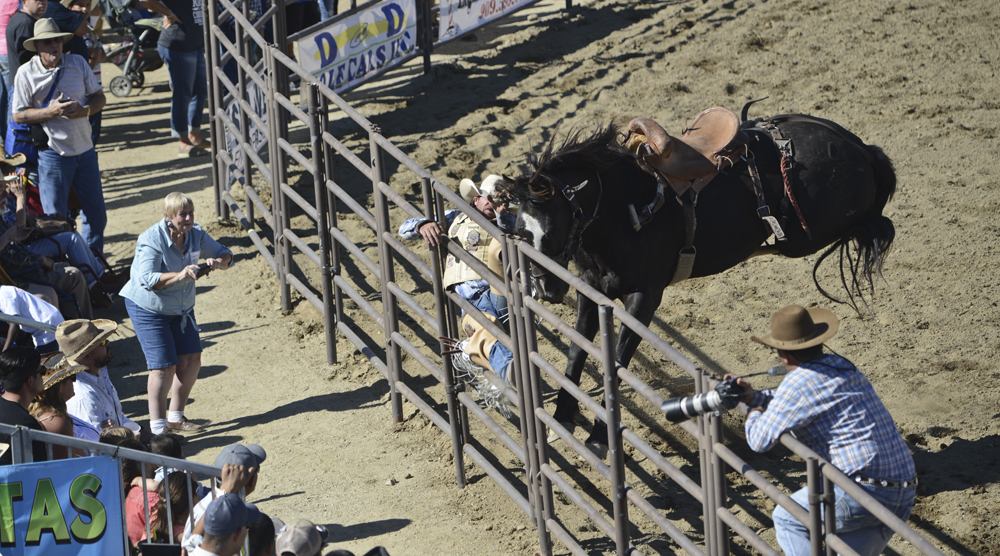 San Dimas Rodeo Photo 3.jpg