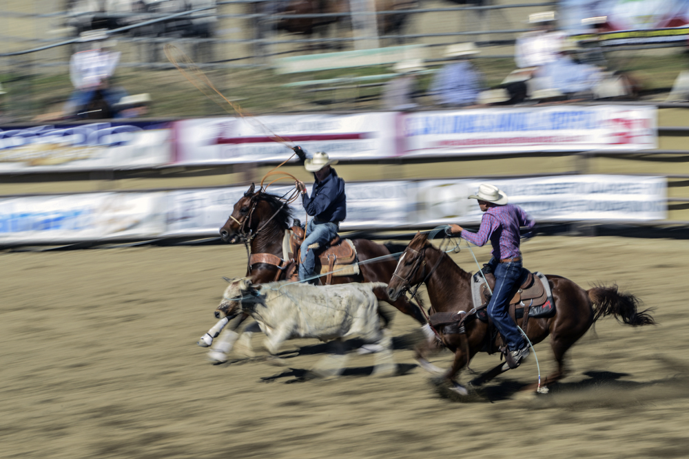 San Dimas Rodeo Photo 5.jpg