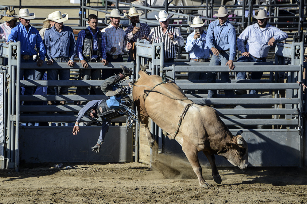 San Dimas Rodeo Photo 6.jpg