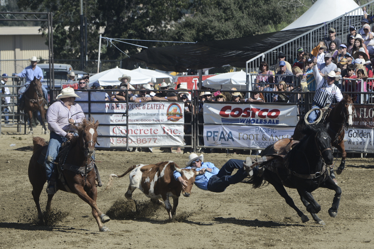 2017 San Dimas Rodeo Photo 2.jpg