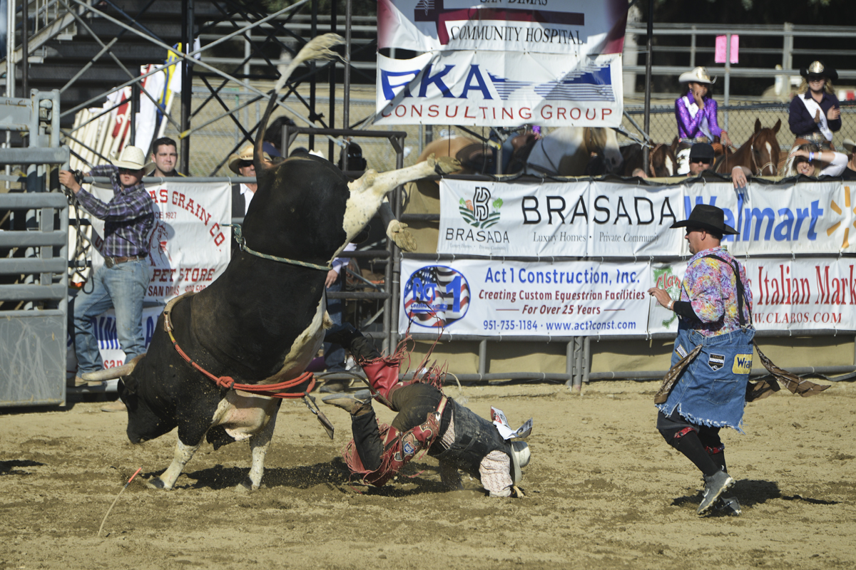 2017 San Dimas Rodeo Photo 5.jpg