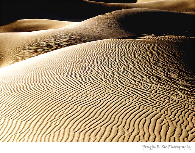 Sanddune_1_B_Framed-2.jpg