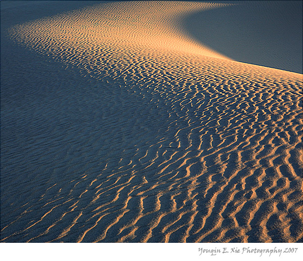 Sand-Dune_MG_6561B_Framed.jpg