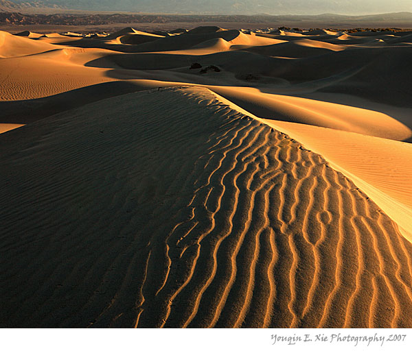 SandDune_MG_6571-Framed.jpg