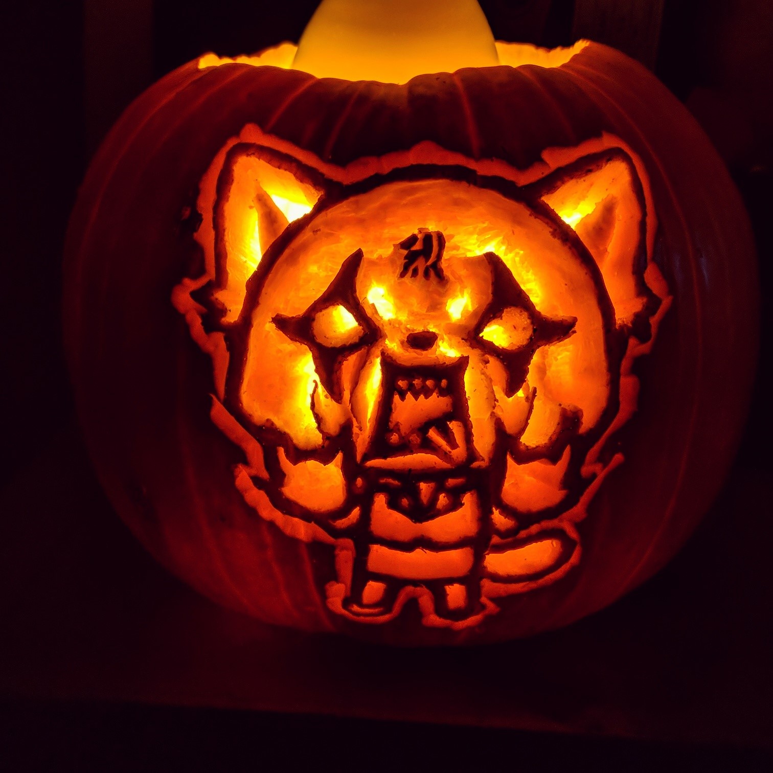 2018 pumpkin 2.jpg