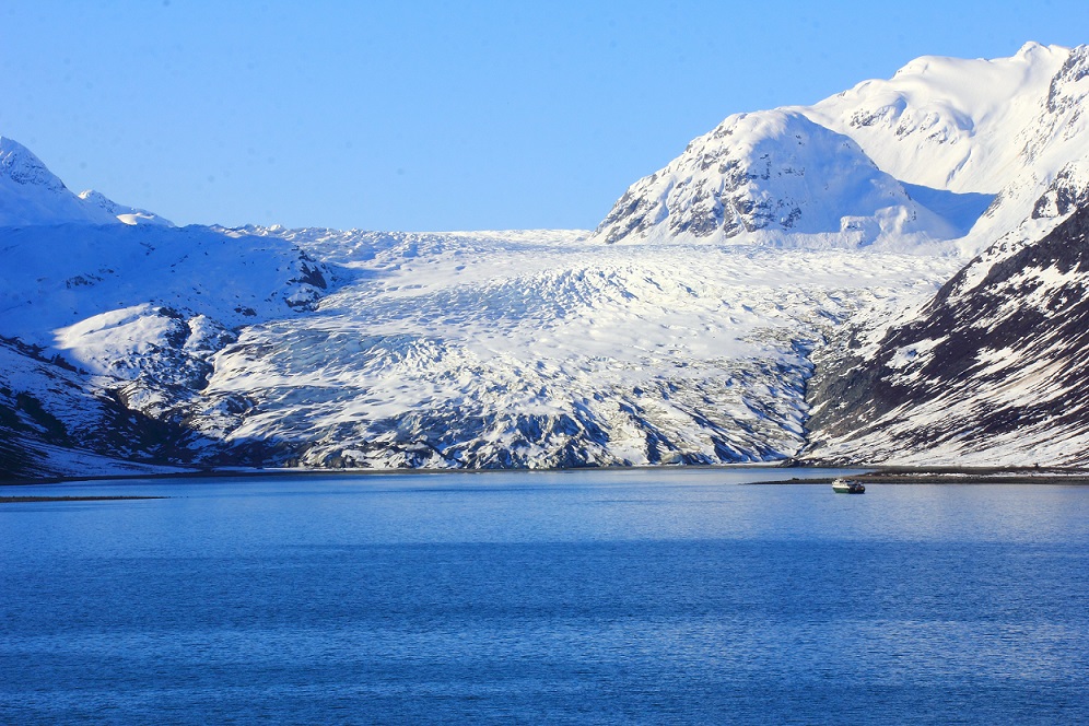 遠觀近看 Carroll Glacier.JPG