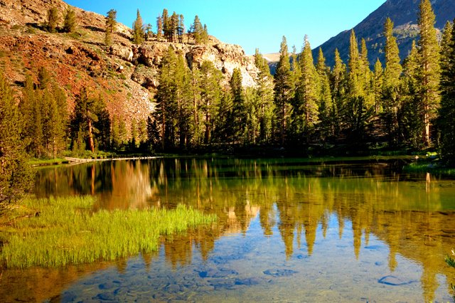 YosemiteDSC_0005x640.jpg