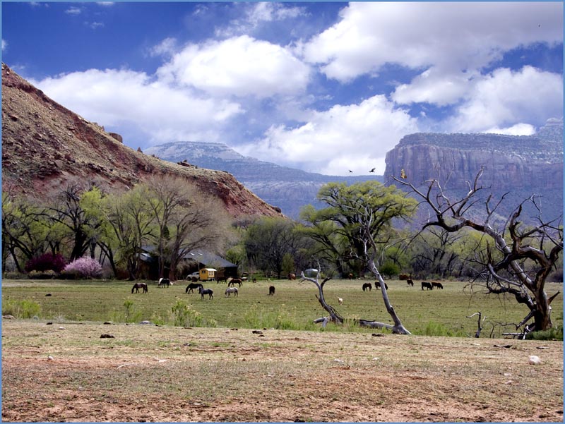 pasturer 1 Utah.jpg