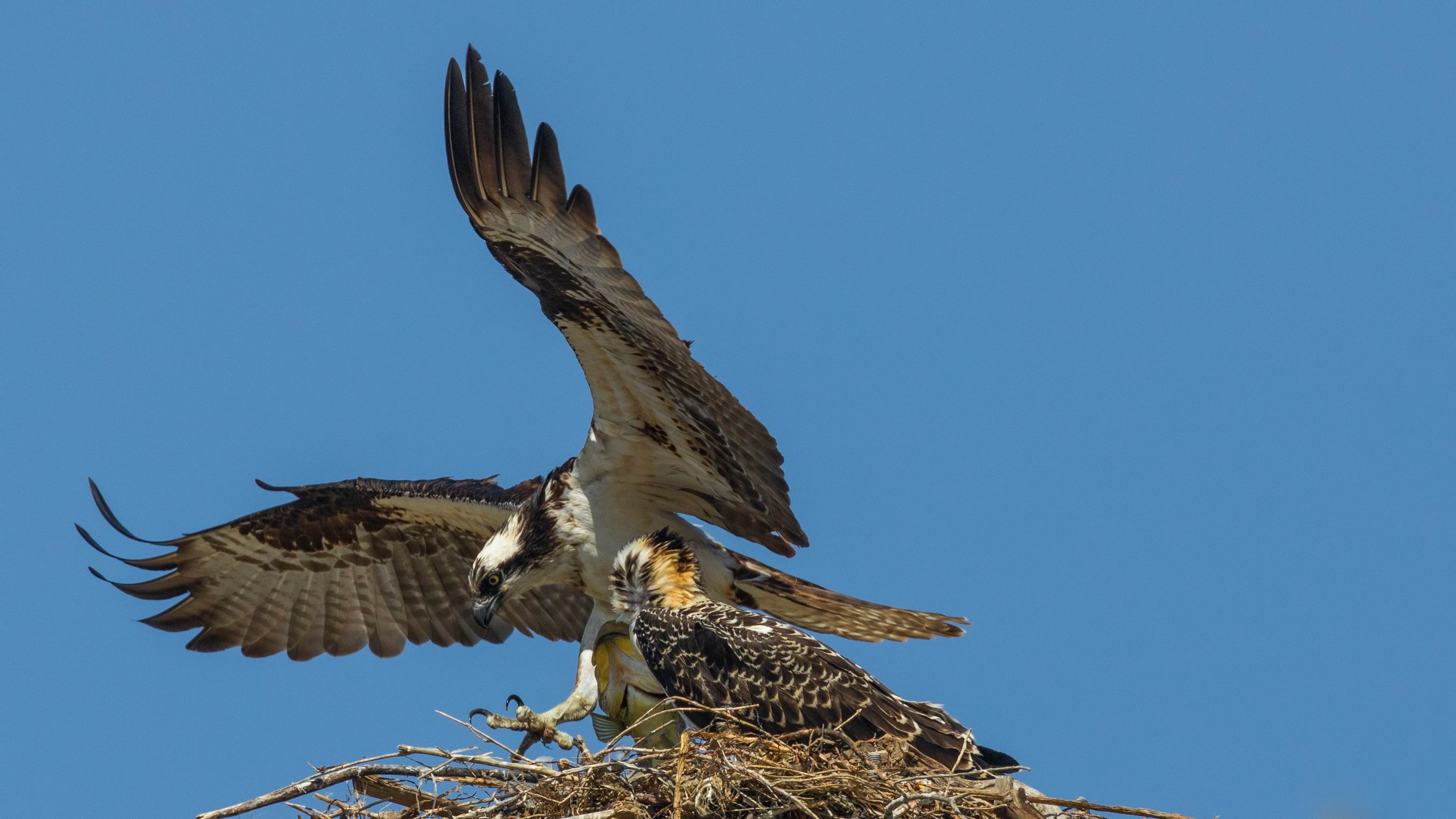 0078_Feeding Family-002.jpg