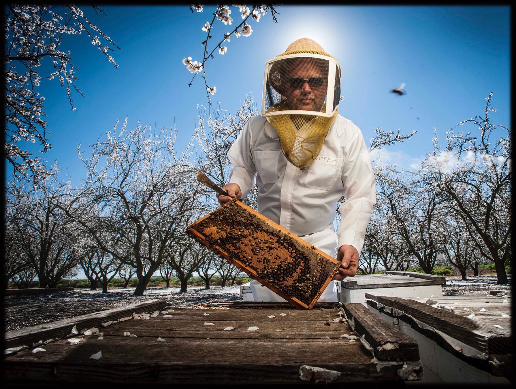 0080_Beekeeper-2016-01.jpg