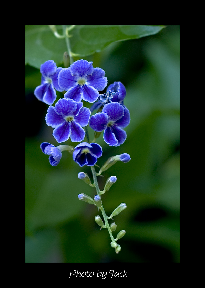 CRW_4888_b.jpg