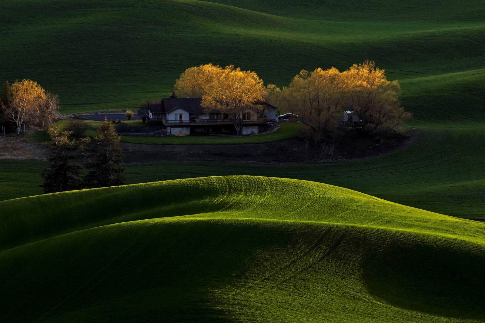 002_帕卢斯的光影_Of Shadows and Light in Palouse.jpg