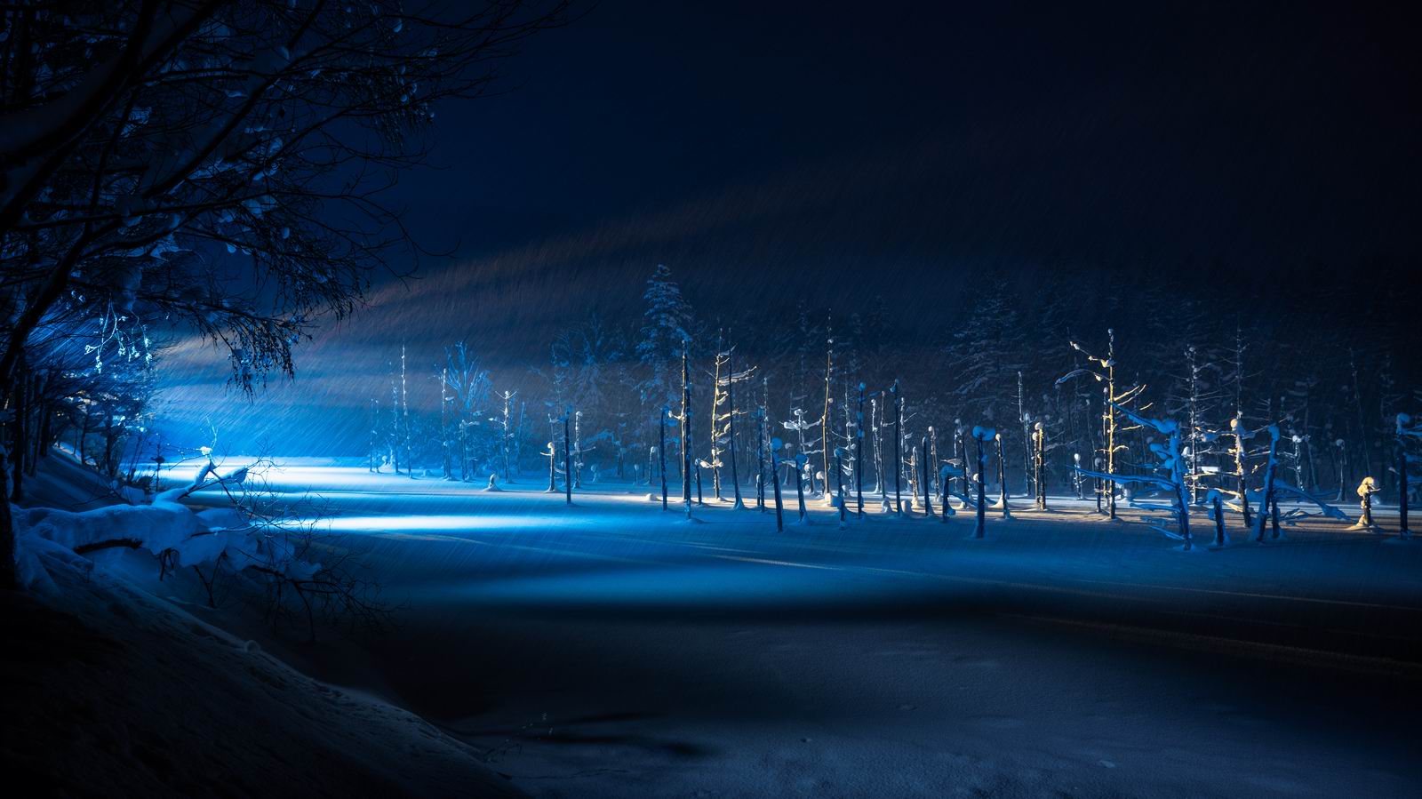 044_北海道 青池 风光.jpg